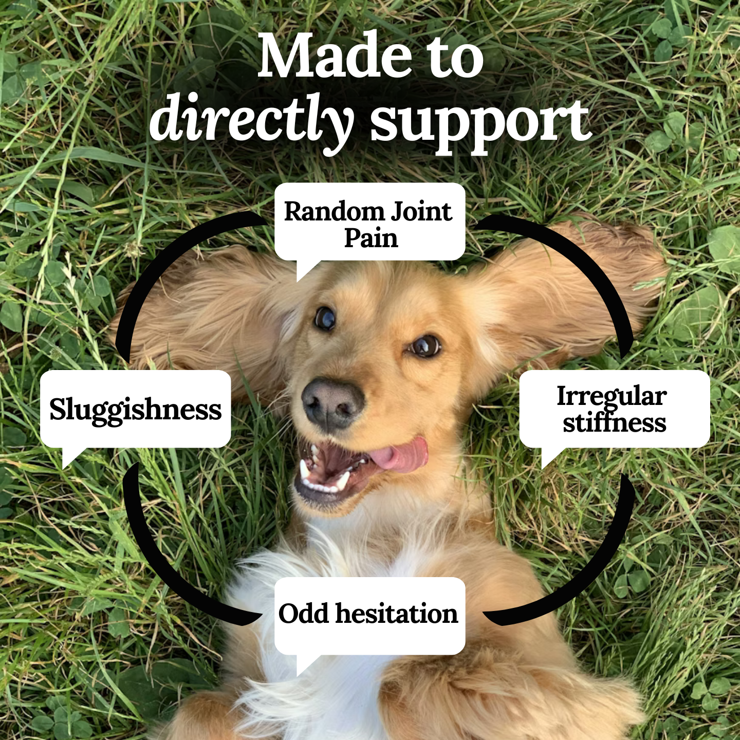 New expert formulated Joint Restore Chews